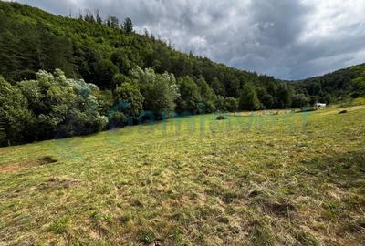 Teren agricol extravilan de 13500 mp, în Aștileu - 2