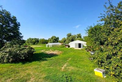 Oportunitate de investitie| Delta Dunarii |Mila 23| pensiune activa - 21