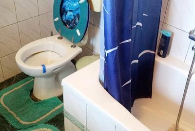 Apartament cu 2 camere decomandat în Nojorid - 4
