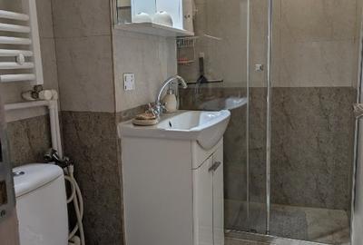 Apartament 2 camere de inchiriat Craiova - 11