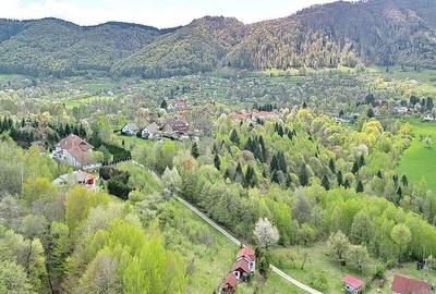 Teren intravilan Bran- Predelut - 14