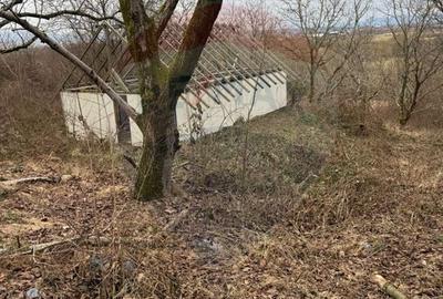 Teren agricol extravilan de 2900 mp, în Independenței - 6