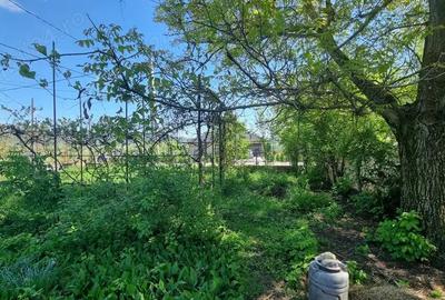 De vanzare casa in Bon?ida cu teren generos - 1