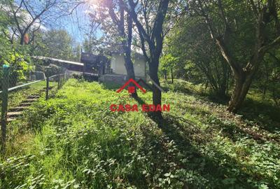 Casa modesta in Provita--19.900e Casa modesta in Provita--19.900e - 9