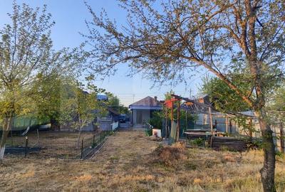 Casă cu 4 camere cu Teren 2051 Mp în Finta - 18