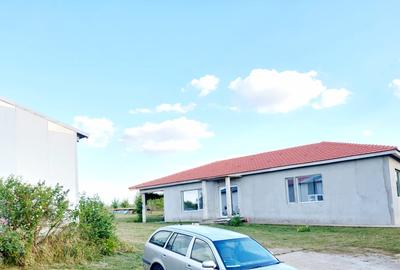 Casa și hala la 18 km de Oradea - 12