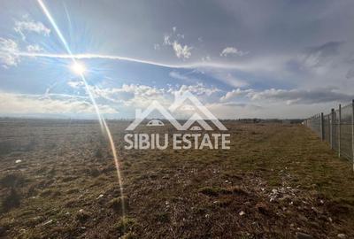 Teren agricol extravilan de 2000 mp, în Sud - 2