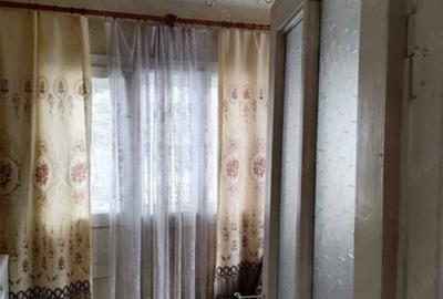 Casă cu Teren 3500 Mp în Vișeu de Jos - 5