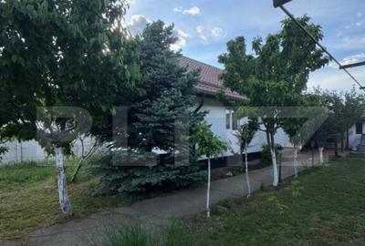 Casă cu 2 camere cu Teren 310 Mp în Bariera Vâlcii - 12