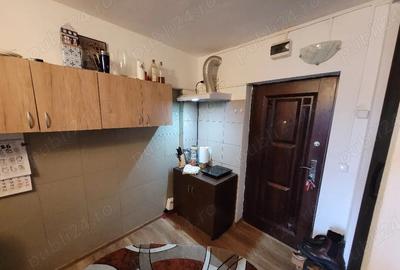 Garsonieră semidecomandată în Valea Rosie - 3