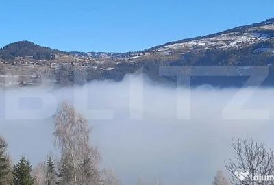 Teren de 10831 mp, în Horea - 1