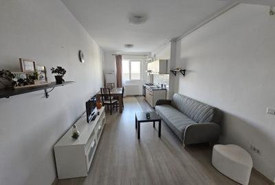 Apartament cu 2 camere semidecomandat în Runcu - 8
