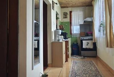 Casă cu 3 camere cu Teren 4800 Mp în Drăguțești - 1
