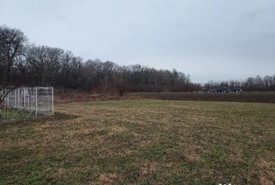 Teren de 2793 mp, în Bătești - 3