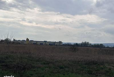 Spațiu comercial, în Ernei - 2
