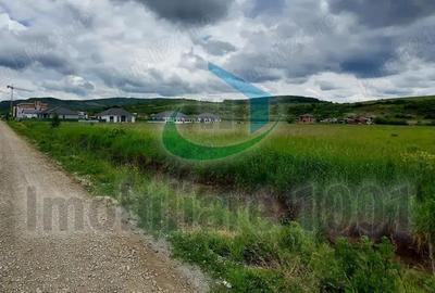 Teren intravilan 6214 mp, Zavoaie, Bistrita, zona rezidentiala in dezvoltare Teren intravilan 6214 mp, Zavoaie, Bistrita, zona rezidentiala in dezvoltare - 2