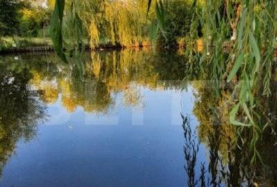 Casa superba de vacanta cu lac de pesti, in comuna Livezile - 4