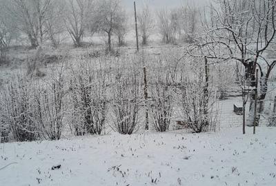 Casă cu 3 camere în Amnaș - 1