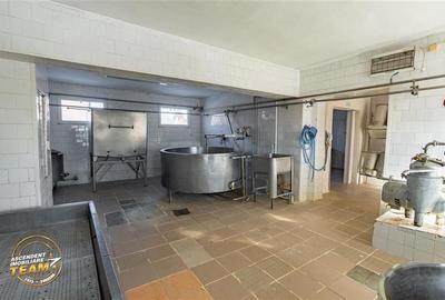 Fabrica de produse lactate+ birouri + 1.300mp teren, lieni, Covasna - 33