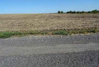 Teren de 5000 mp, în Valu lui Traian - 7