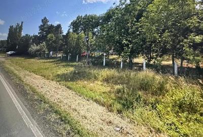 Teren spre concesionare 1,2 Hectare - 1