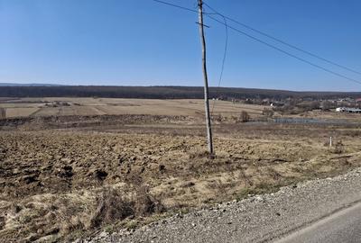 Spațiu comercial, în Mitocu Dragomirnei - 7