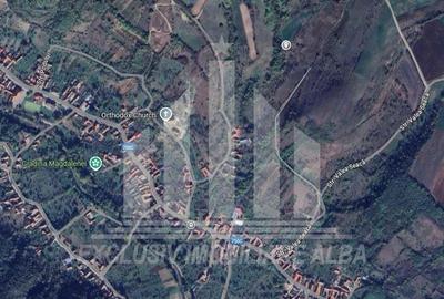 Teren intravilan de vanzare, Geogiu de Sus - 7
