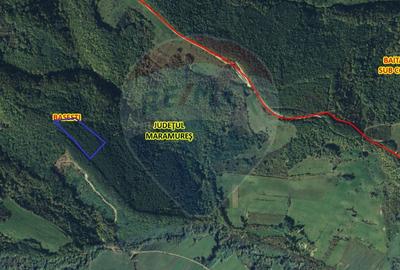 Teren extravilan de 42750 mp, în Odești - 4