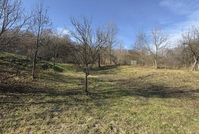 Spațiu comercial, în Central - 5