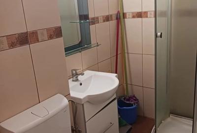 Garsoniera   -  10 minute Metrou Costin Georgian -Renovata - 11