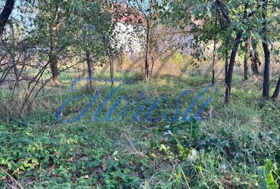 Teren de 5800 mp, în Mica - 2