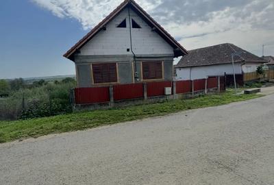 Casa de vanzare TEREN 3300mp cu toate utilitatiile - 2