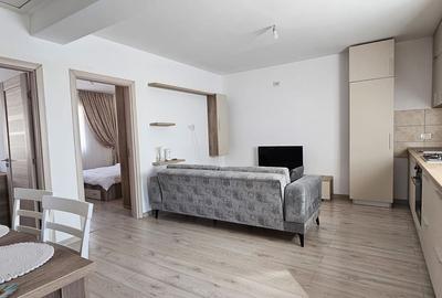 Casa tip duplex ~ 3 camere 1 baie ~ Mobilat utilata ~ 260 mp teren - 8