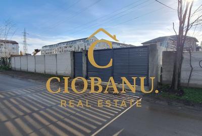 Casa de vanzare zona Damila-Capsunarie - 19