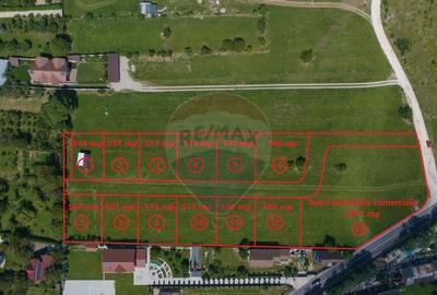 Teren de 2951 mp, în Baciu - 3