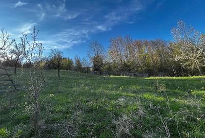 Teren de 2500 mp, în Trăisteni - 1