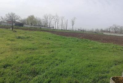 Casă cu 3 camere cu Teren 7000 Mp în Redea - 1