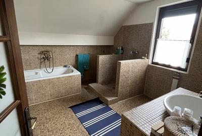 Mogosoaia, zona Martha Bibescu - 14