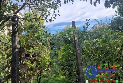 ID 6736 Teren cu casa - DE VANZARE - 8