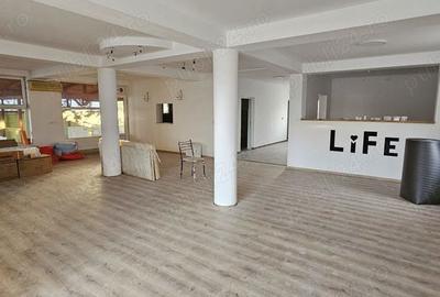 Spațiu comercial, de 310 mp, în Snagov - 3