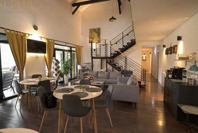 Spațiu comercial, de 390 mp, în Colibița - 10