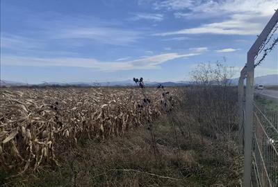 Vanzare teren intravilan, Feldioara, Brasov - 11