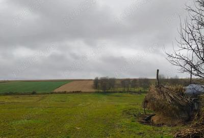 De vanzare gospodarie zona lini?tita, eco, com. Lespezi - 1