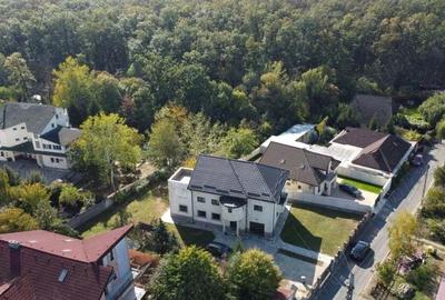 Vila Mogosoaia la padure si DN. Vila Mogosoaia la padure si DN. - 1