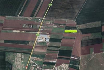 Agigea, teren 5000 mp cu acces dublu, ideal constructie hala - 3