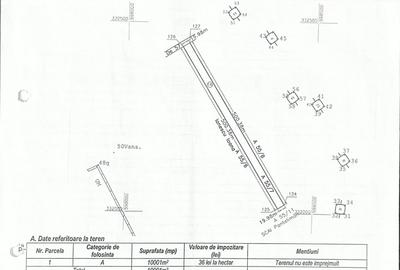 Teren Construcții intravilan de 10000 mp, în Exterior Est - 3