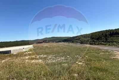 Teren 3,757mp Paltinoasa / Strada principala - 12