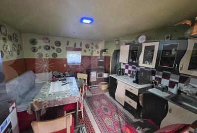 Casă cu 3 camere cu Teren 4669 Mp în Leț - 15