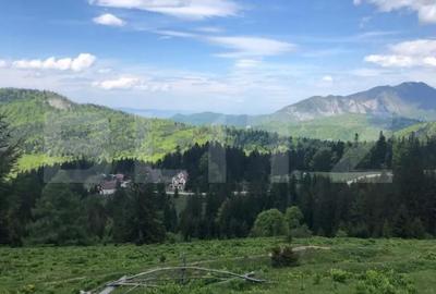 Teren de 10000 mp, în Central - 7