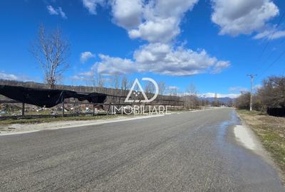 Teren intravilan de 12771 mp, în Bârsești - 4